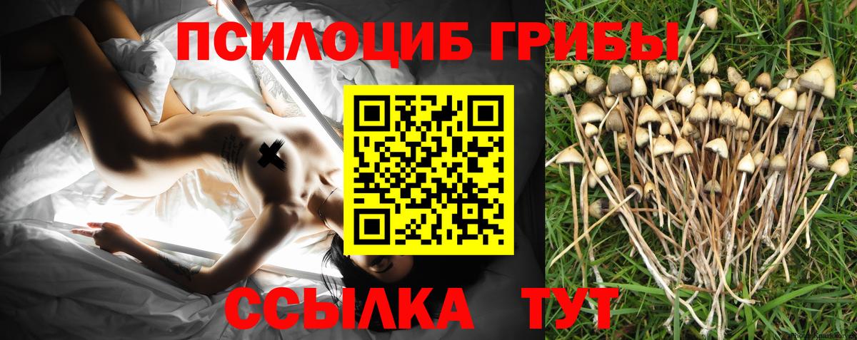 Галлюциногенные грибы Psilocybine cubensis  купить закладку  Галлюциногенные грибы мухоморы  Элиста  Вход с VPN 