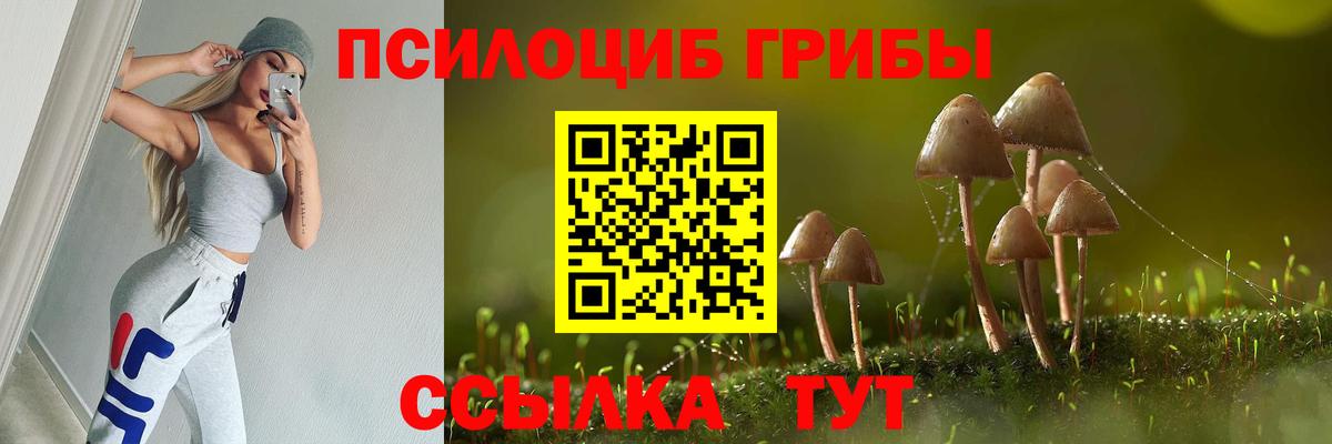 Псилоцибиновые грибы ЛСД Элиста